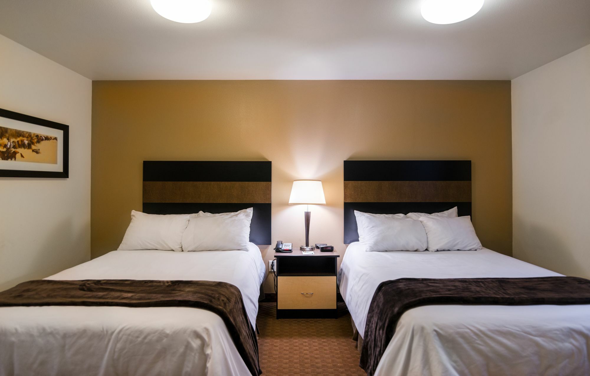My Place Hotel-Dickinson, Nd מראה חיצוני תמונה